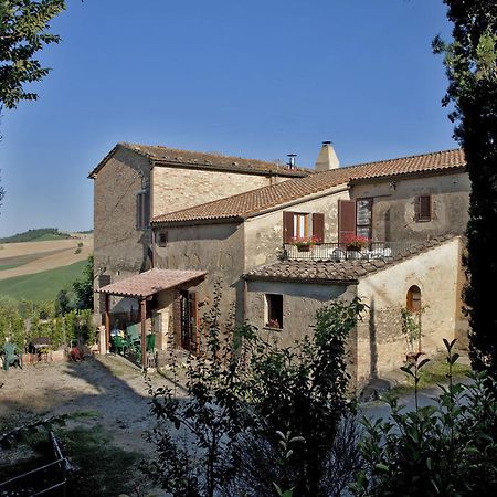 Agriturismo Podere Olivello In Val D'Orcia Montalcino Exteriör bild