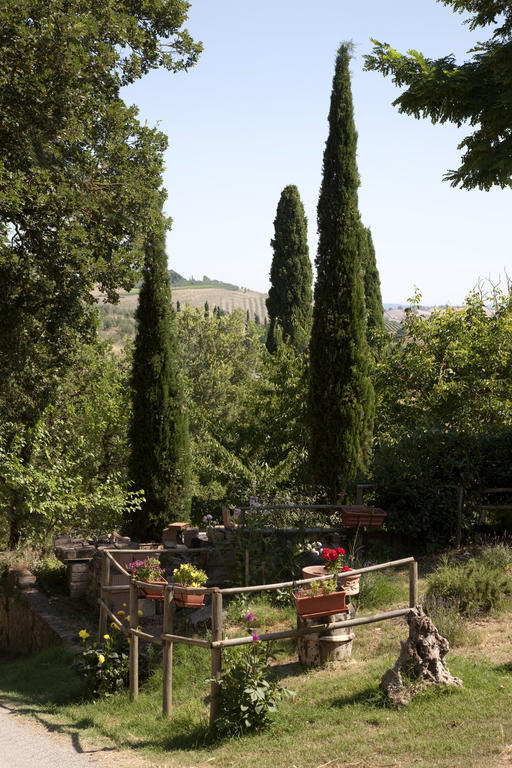 Agriturismo Podere Olivello In Val D'Orcia Montalcino Exteriör bild