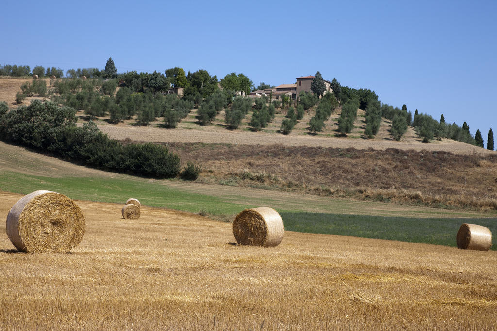 Agriturismo Podere Olivello In Val D'Orcia Montalcino Exteriör bild