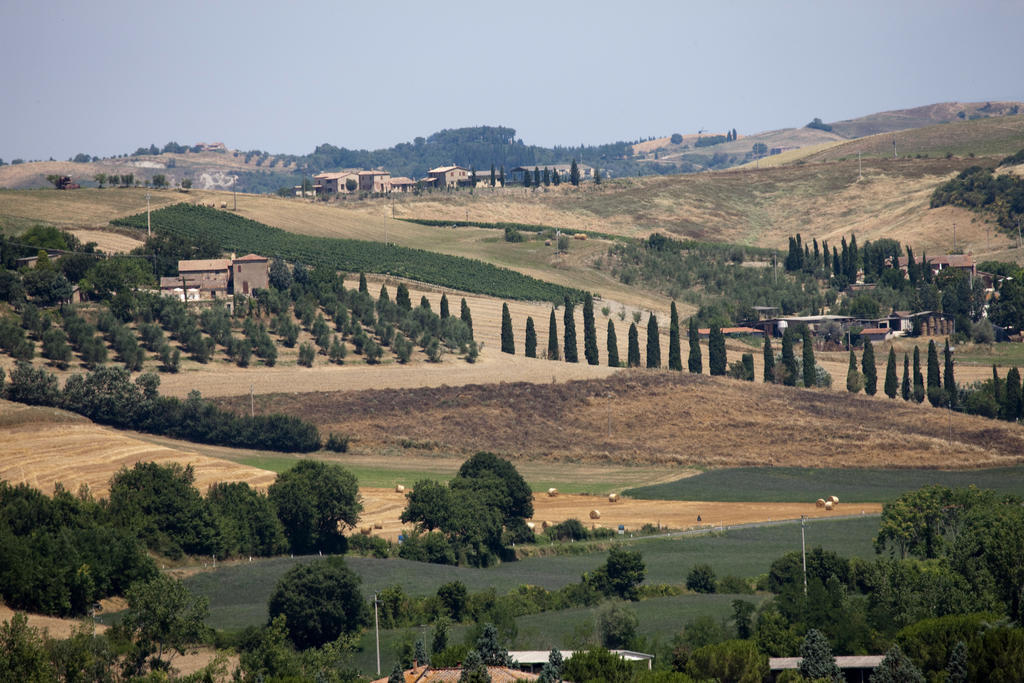 Agriturismo Podere Olivello In Val D'Orcia Montalcino Exteriör bild